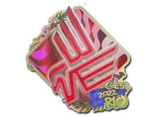 Sticker Slab | Bad News Eagles (Holo) | Rio 2022 cs go skin