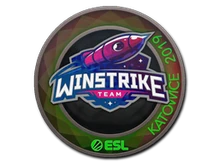 Sticker Slab | Winstrike Team (Holo) | Katowice 2019 cs go skin