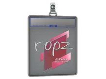 Sticker Slab | ropz | Boston 2018 cs go skin
