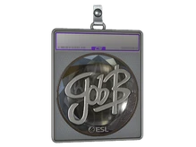 Sticker Slab | gob b (Foil) | Katowice 2019 cs go skin