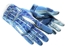 ★ Sport Gloves | Amphibious (Factory New) cs go skin