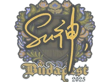 Sticker Slab | C4LLM3SU3 | Budapest 2025 cs go skin
