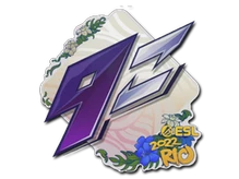 Sticker Slab | 9z Team | Rio 2022 cs go skin