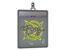 Sticker Slab | es3tag (Glitter) | Antwerp 2022 cs go skin