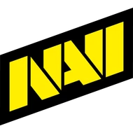 Glitter Natus Vincere Team Sticker - TI 2025 cs go skin