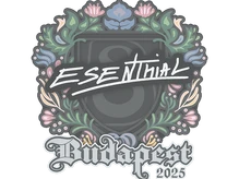 Sticker Slab | esenthial | Budapest 2025 cs go skin