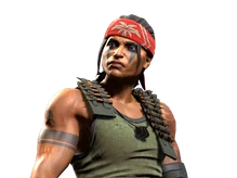 Vypa Sista of the Revolution | Guerrilla Warfare cs go skin