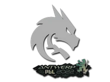 Sticker Slab | Team Spirit | Antwerp 2022 cs go skin