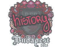 Sticker Slab | History | Budapest 2025 cs go skin