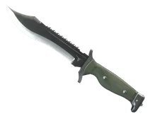 ★ StatTrak™ Bowie Knife cs go skin