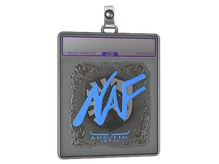 Sticker Slab | NAF (Foil) | Austin 2025 cs go skin