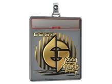 Sticker Slab | Evil Geniuses (Gold) | 2020 RMR cs go skin