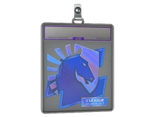 Sticker Slab | Team Liquid (Holo) | Atlanta 2017 cs go skin