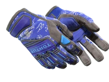 ★ Specialist Gloves | Cloud Chaser (Well-Worn) cs go skin