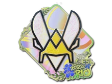 Sticker Slab | Vitality (Holo) | Rio 2022 cs go skin