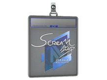 Sticker Slab | ScreaM | Boston 2018 cs go skin