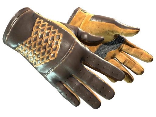 ★ Driver Gloves | Overtake cs go skin