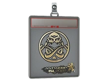 Sticker Slab | ENCE (Gold) | Antwerp 2022 cs go skin