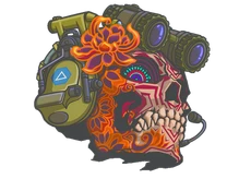 Sticker Slab | Lucas cs go skin