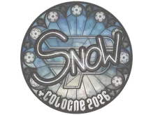 Sticker | snow | Cologne 2026 cs go skin