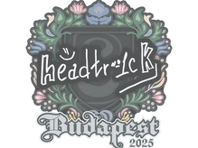 Sticker Slab | headtr1ck | Budapest 2025 cs go skin