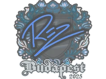 Sticker Slab | REZ | Budapest 2025 cs go skin