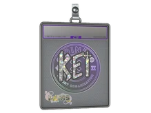 Sticker Slab | KEi (Glitter) | Paris 2023 cs go skin