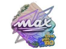Sticker Slab | max | Rio 2022 cs go skin