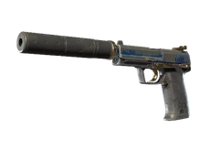 Souvenir USP-S | Royal Guard (Field-Tested) cs go skin