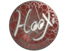 Sticker | HooXi (Foil) | Cologne 2026 cs go skin