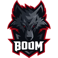 BOOM Esports Team Sticker - TI 2025 cs go skin