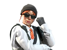 Getaway Sally | The Professionals cs go skin