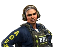 Special Agent Ava | FBI cs go skin