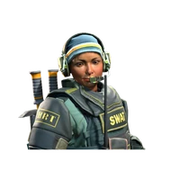 Skins de Agentes CS GO: precio, detalles - Bloodycase